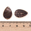 Dyed Natural Freshwater Shell Beads SHEL-T020-23-3