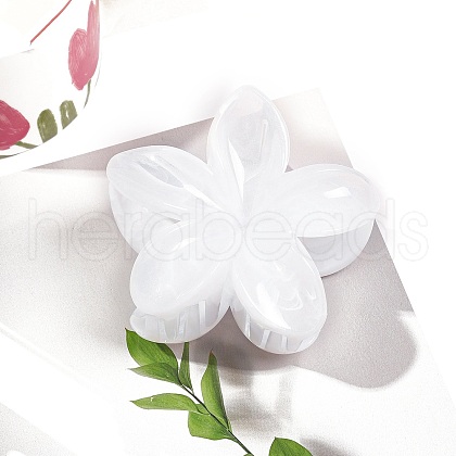 Resin Claw Hair Clips PW-WG0E0E6-01-1