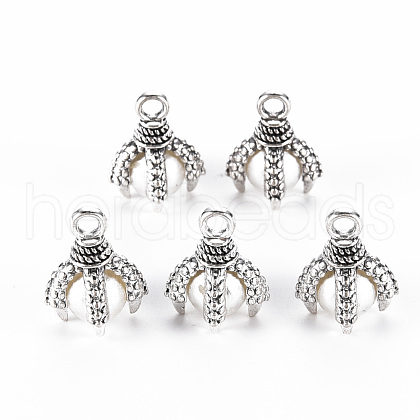 Tibetan Style Alloy Charms PALLOY-S120-249C-RS-1