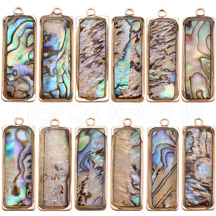 SUNNYCLUE 12Pcs Natural Paua Shell Pendants KK-SC0005-37-1