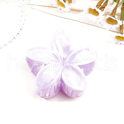 Resin Claw Hair Clips PW-WG0E0E6-08-1