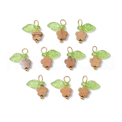 10Pcs Natural Picture Jasper Flower Charms PALLOY-JF03765-05-1