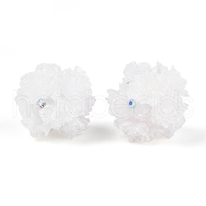Resin Beads RESI-T059-04A-1
