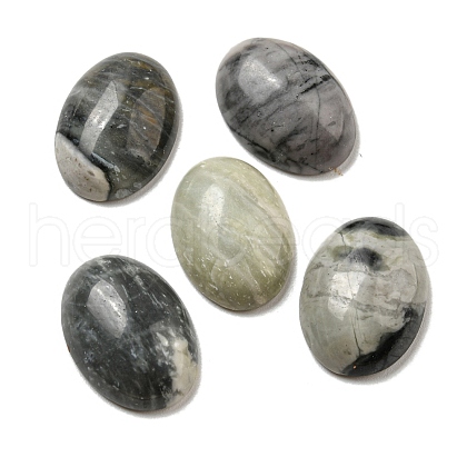 Natural Picasso Jasper Cabochons G-C115-01A-37-1