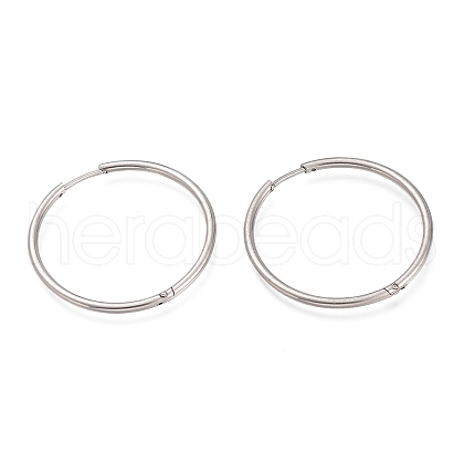 304 Stainless Steel Huggie Hoop Earrings EJEW-L256-02G-P-1