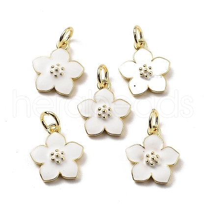 Brass Enamel Charms KK-Z114-23G-02-1