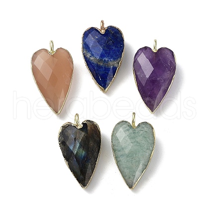 Natural Mixed Stone Pendants G-G012-12G-B-1