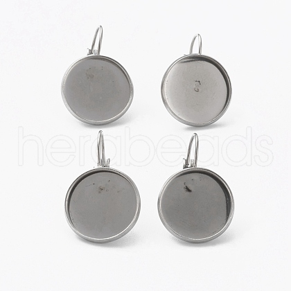 Tarnish Resistant 304 Stainless Steel Leverback Earring Findings STAS-L253-005B-P-1