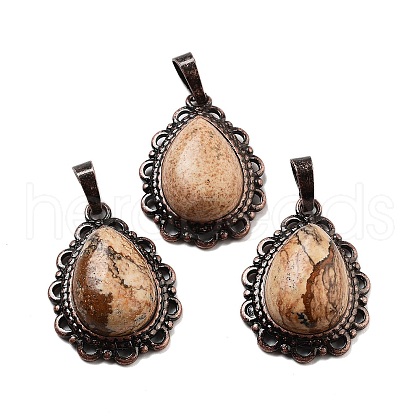 Natural Picture Jasper Teardrop Pendants G-K363-01R-21-1