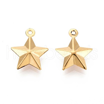 201 Stainless Steel Charms STAS-N109-228G-1