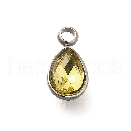 304 Stainless Steel Pendants STAS-Q346-04P-06-1