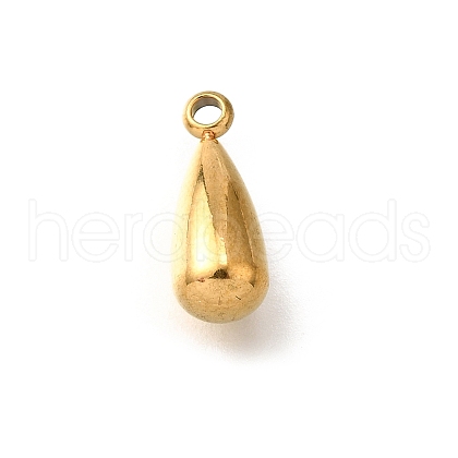 304 Stainless Steel Charms STAS-C122-07G-1