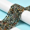 Natural Moss Agate Beads Strands G-H302-A03-01-2