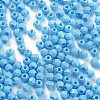 Baking Paint Glass Seed Beads X1-SEED-A032-02G-3