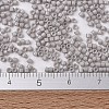 MIYUKI Delica Beads X-SEED-J020-DB2366-4