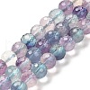 Natural Fluorite Beads Strands G-K345-A02-01-1