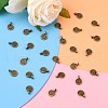 Tibetan Style Alloy Charms MLF0339Y-NF-5