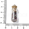 Glass Wishing Bottle Pendant Decorations GLAA-XCP0001-59-3