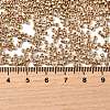 12/0 Electroplate Glass Seed Beads SEED-Q003-01-4