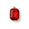 316 Stainless Steel Faceted Glass Pendants STAS-K258-48G-2