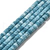 Natural Gemstone Beads Strands G-F730-03B-1