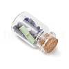 6Pcs Glass Wish Bottle Display Decoration PALLOY-JF03791-5