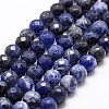 Natural Sodalite Beads Strands X-G-D840-19-6mm-1