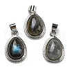Natural Labradorite Pendants G-M405-05P-3