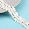 Electroplated Shell Pearl Beads Strands BSHE-C007-D01-01-2