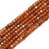 Natural Garnet Beads Strands G-P457-B01-18-1