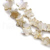 Drawbench Style Natural Freshwater Shell Beads Strands BSHE-E028-04-3