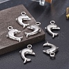 Tibetan Style Alloy Pendants TIBEP-A040-003TAS-NR-4