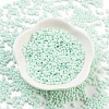 Baking Paint Glass Seed Beads X1-SEED-A033-05R-2