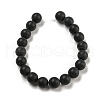 Dyed Natural Black Agate Beads Strands G-P088-14-10mm-5