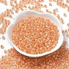 Transparent Glass Round Seed Beads X1-SEED-B001-05A-31-2