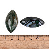 Natural Brazilian Agate Cabochons X-G-S295-02-3