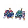 Resin Pendants KK-G361-01G-2