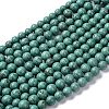 Natural Howlite Beads Strands G-C180-10-1