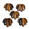 Natural Tiger Eye Carved Pendants G-K353-01J-1