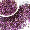 Glass Seed Beads X1-SEED-H002-B-D207-1