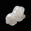 Natural Quartz Crystal Dog Healing Figurines DJEW-Z005-05B-4