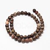 Natural Rainforest Agate Round Bead Strands G-P075-45-8mm-2