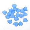 Transparent Acrylic Pendants PL591-5-2