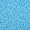 13/0 Glass Seed Beads SEED-T005-14A-A20-3