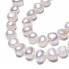 Natural Cultured Freshwater Pearl Beads Strands PEAR-N014-05H-4