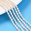 Natural Cultured Freshwater Pearl Beads Strands PEAR-N012-03Q-1