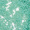 TOHO Japanese Seed Beads SEED-F002-2mm-2119-2