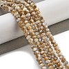 Natural Freshwater Shell Beads Strands X-BSHE-G038-05-2