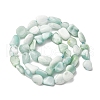 Natural Glass Beads Strands G-K395-A02-02-3
