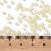 Glass Seed Beads SEED-S042-13A-02-4